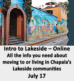Intro to Lakeside - Online